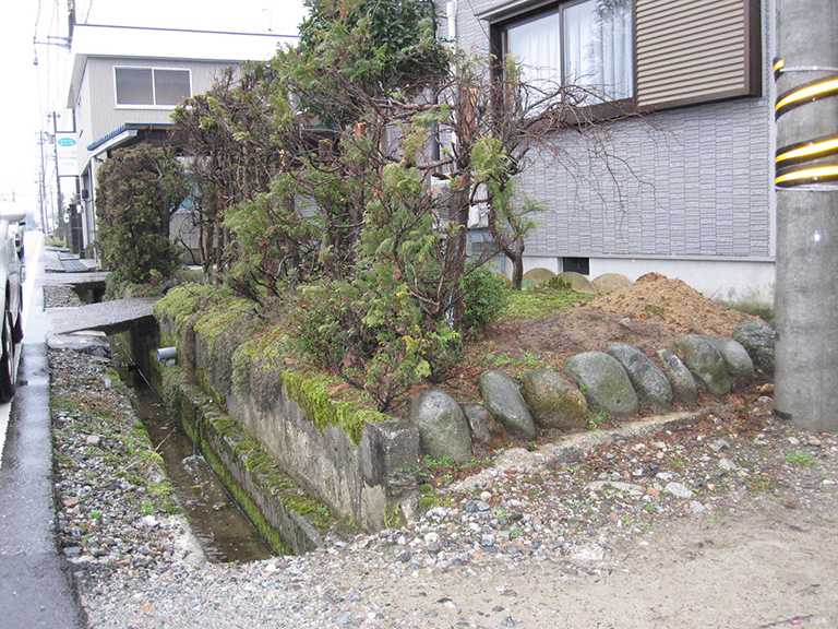富山市の生垣撤去前の庭　竹垣フェンス工事の施工前写真