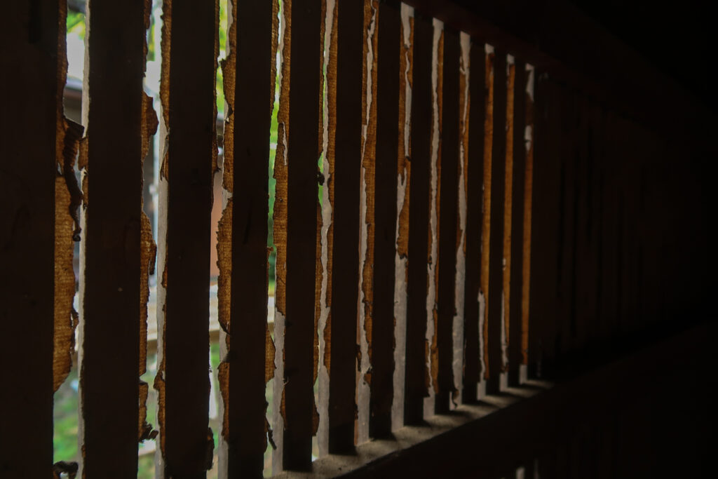 閉ざされた蔵の扉の隙間からわずかに差し込む幻想的な光。