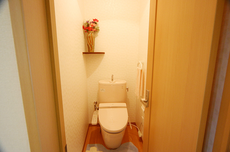 和式トイレ　手摺り取り付け前